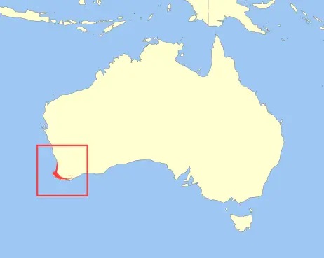 Quokka Habitat Australia