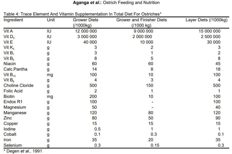 What Do Ostriches Eat? Big Bird, Big Appetite! Animal Hype