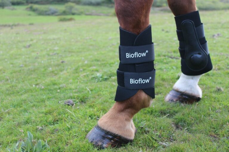 Top 7 Boots for Horses Animal Hype