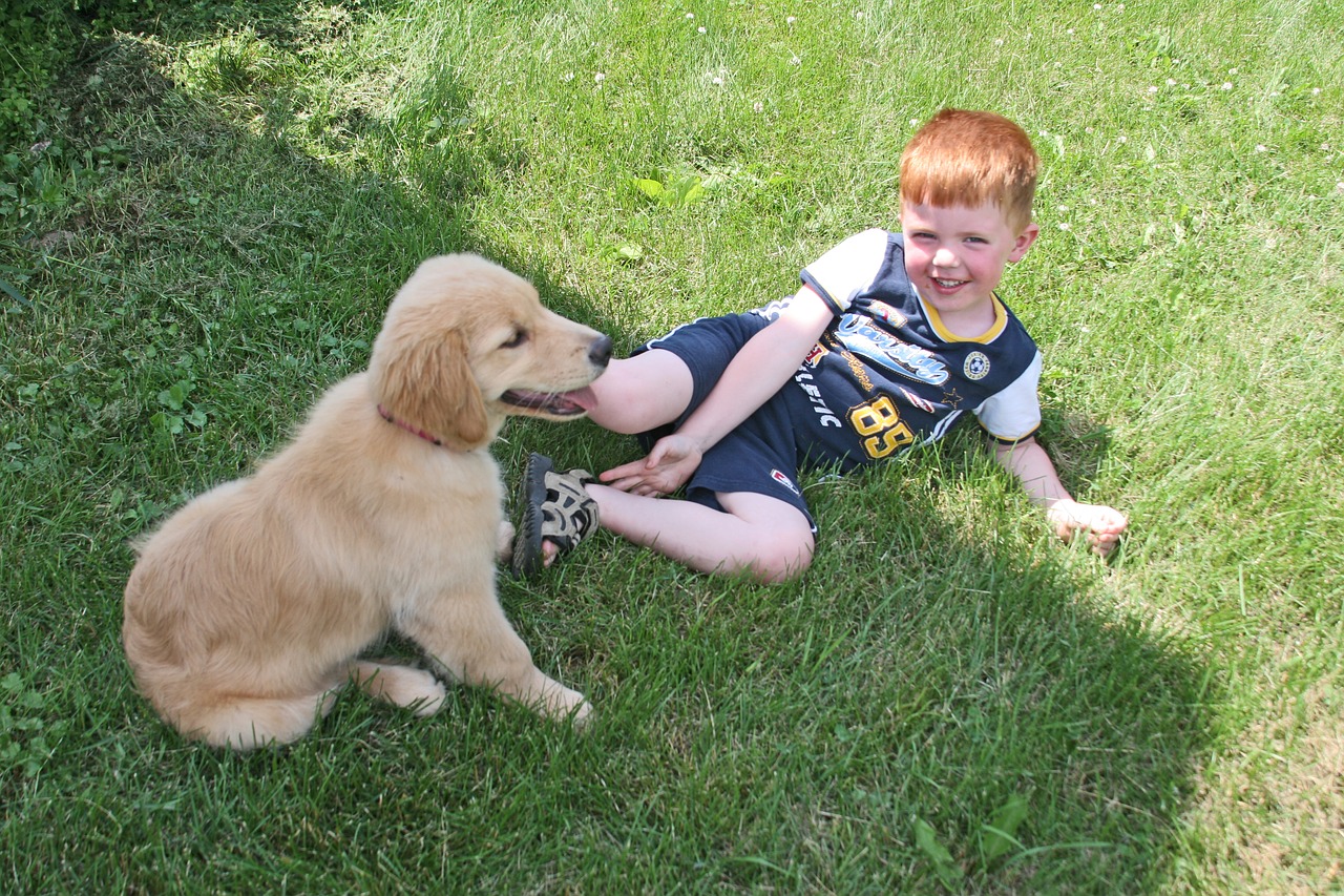 Dog Breeds That Are Good With Kids