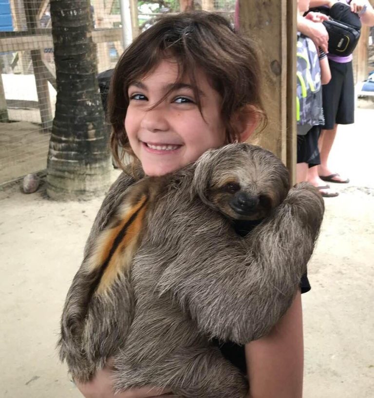 Why Do Sloths Smile? The Smiling Secret! - Animal Hype